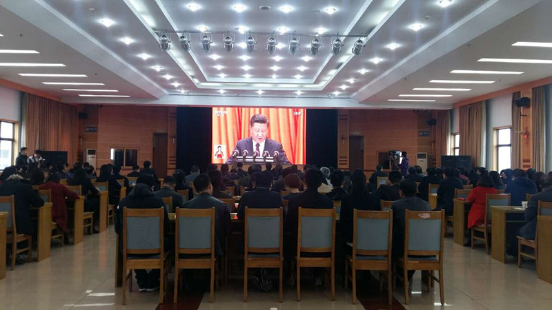 桥西_副本.jpg
