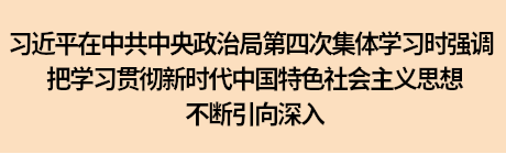 习近平在中共中央政治局第四次集体学习时强调 把学习贯彻新时代中国特色社会主义思想不断引向深入